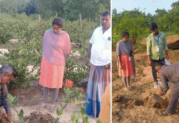 Soil Test Sample Collection