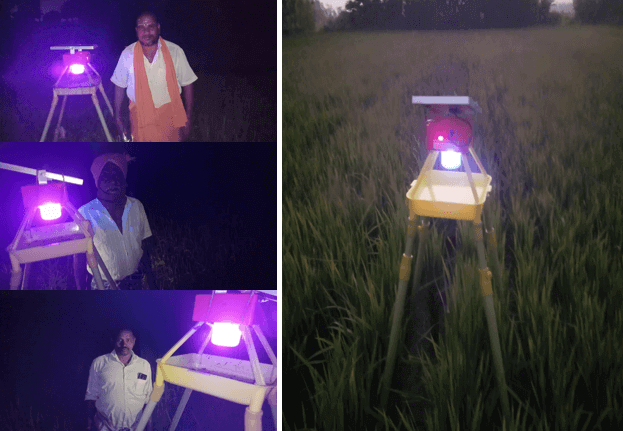 Solar Insect Trap - Post Activity Verification